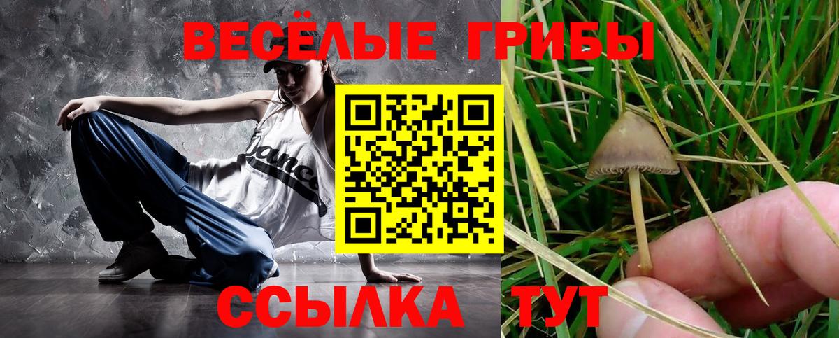 Псилоцибиновые грибы Magic Shrooms Тулун