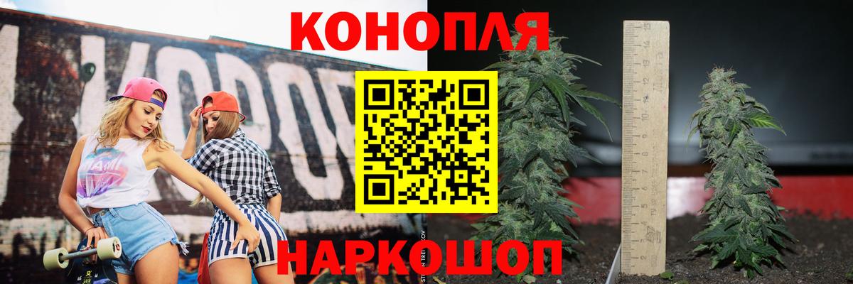 МАРИХУАНА сатива Тулун